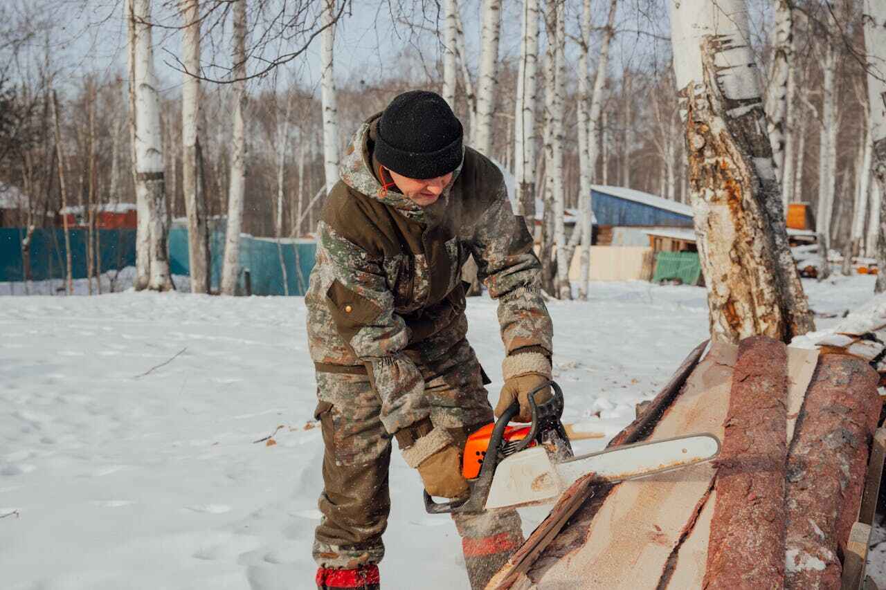 The Steps Involved in Our Tree Care Process in Homer, GA